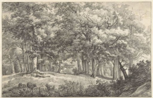 Forest view