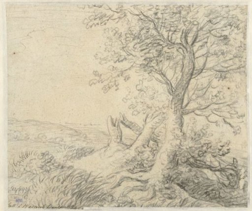 Sketch of a landscape with three trees