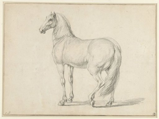 Unsaddled horse, to the left