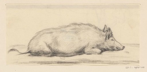 Lying Pig, facing right