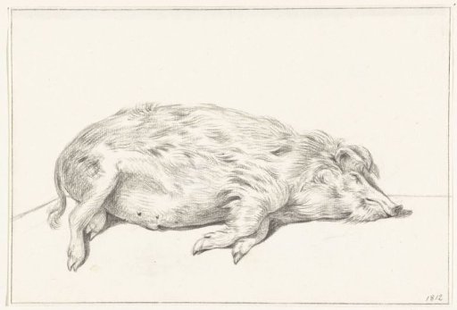 Lying Pig, facing right