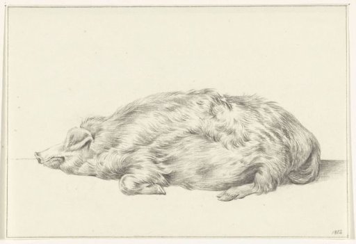 Lying Pig, facing left