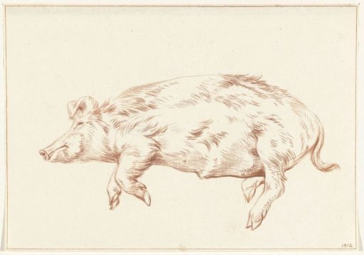 Reclining pig, facing left
