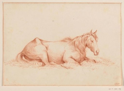 Horse Lying in the Grass, Facing Right