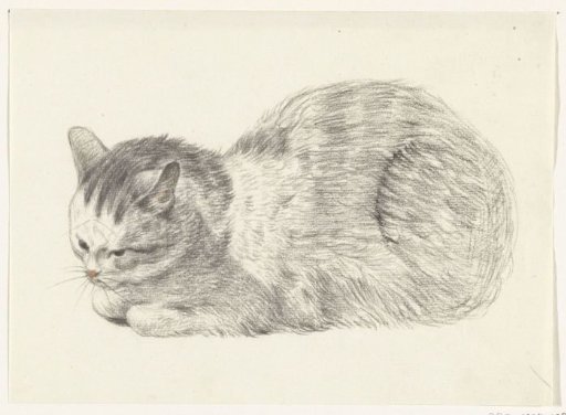 Lying cat, to the left