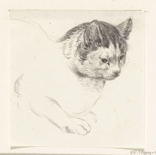 Lying cat, to the right