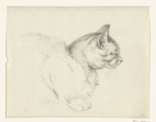Lying cat, to the right