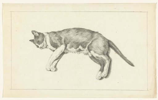 Lying cat, to the left, seen from above