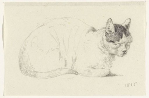 Lying cat, to the right