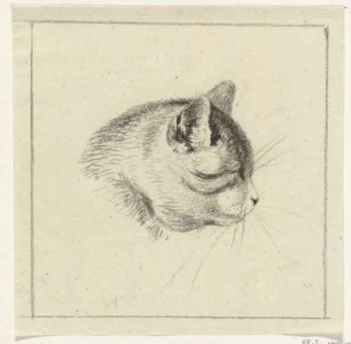 Head of a cat, to the right