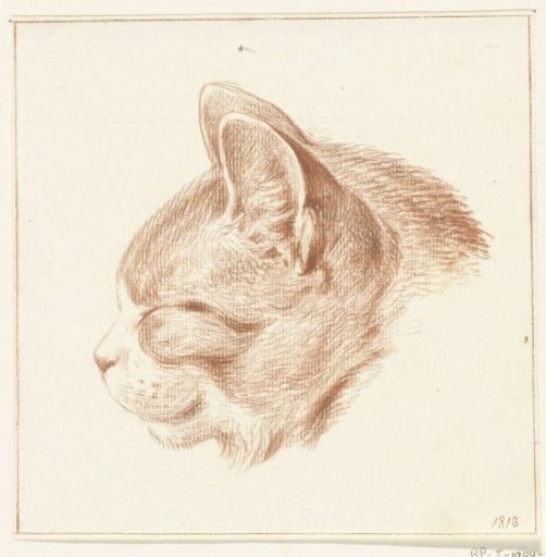 Head of a cat, to the left