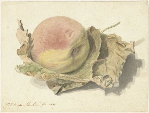 Peach on Two Leaves