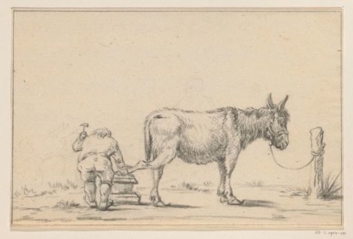 A donkey being shod