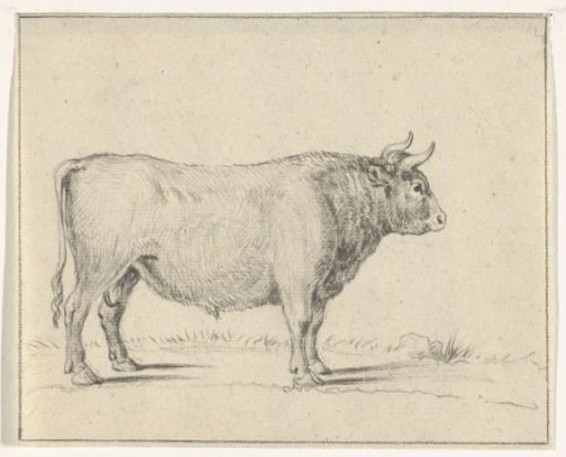 Standing bull, facing right