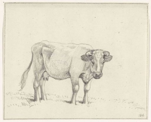 Standing cow, facing right