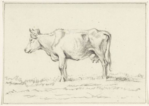 Standing cow, to the left