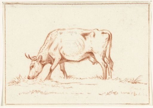 Grazing cow, facing left