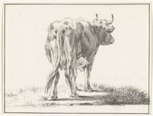 Standing cow, from behind