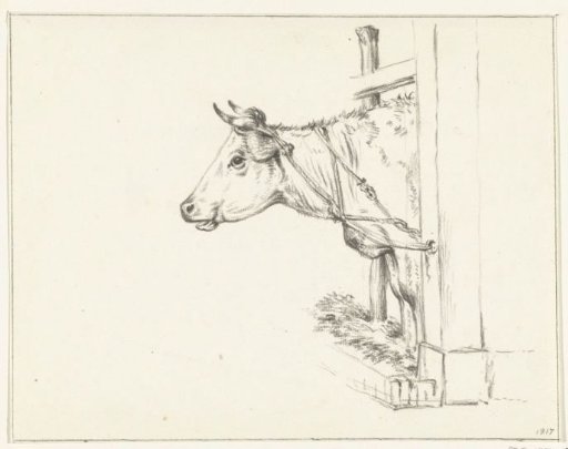 Head of a Cow, Facing Left