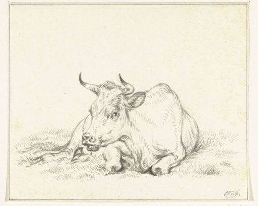 Recumbent Cow, Seen from the Front