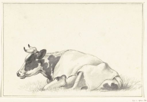 Reclining cow, facing left
