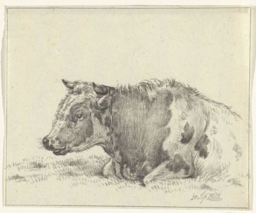Lying cow, to the left