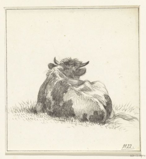 Lying cow, from behind