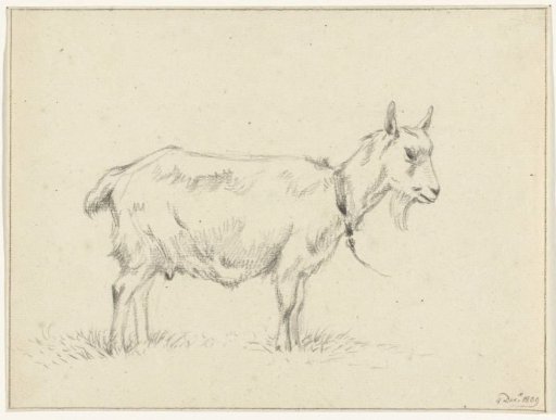 Standing goat, facing right