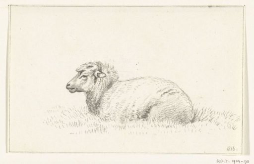 Reclining sheep, facing left