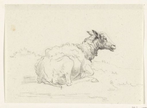 Lying sheep, facing right