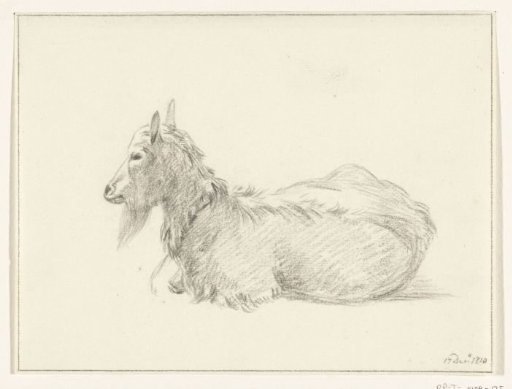 Lying goat, to the left
