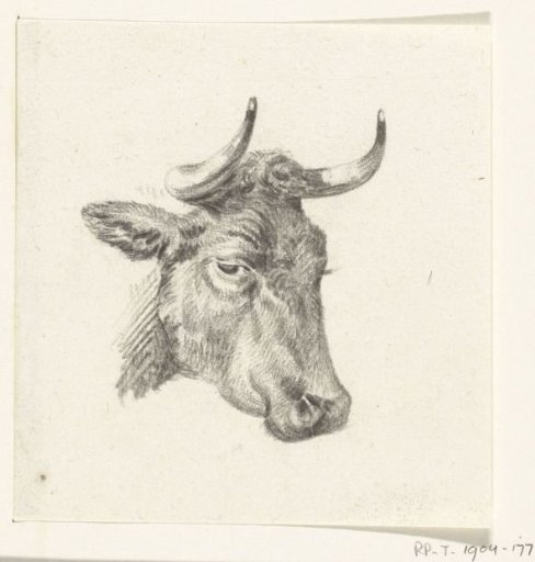 Head of a Cow