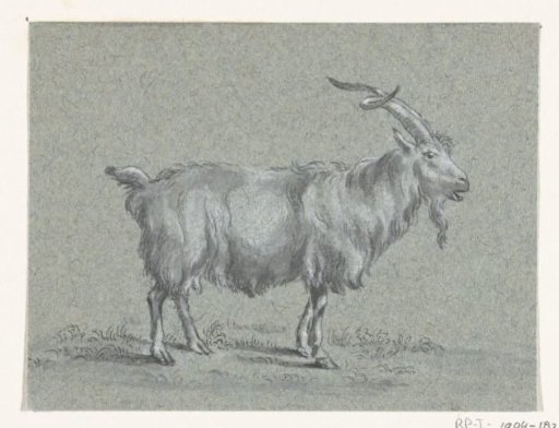 Standing Goat, facing right