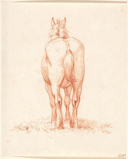 Standing Horse, From Behind