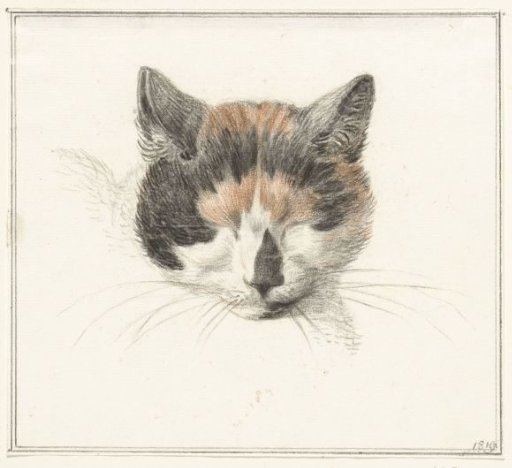 Head of a tabby cat, from the front, with closed eyes