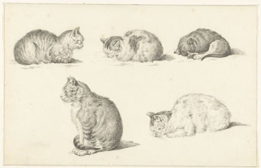 Fives Studies of Cats
