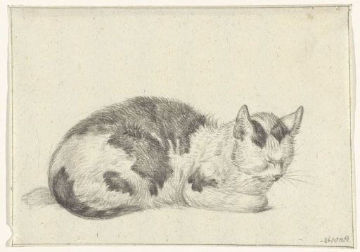 Lying calico cat, to the right