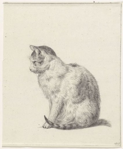Sitting cat, to the left