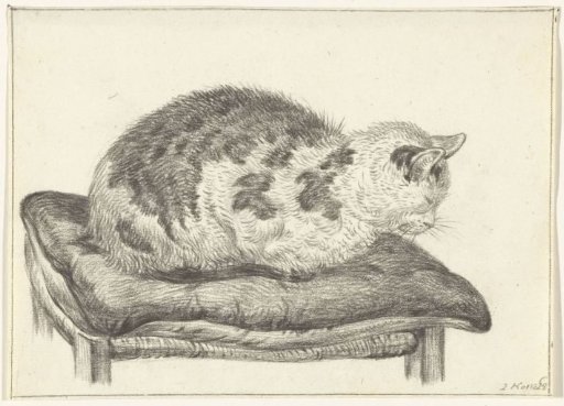Lying cat, on a cushion, to the left