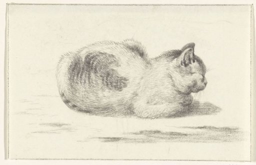 Lying cat, to the right