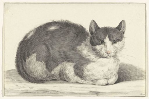 Lying cat, to the right
