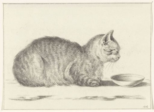 Lying cat, to the left, before a dish