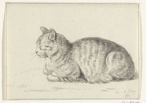 Lying cat, to the left