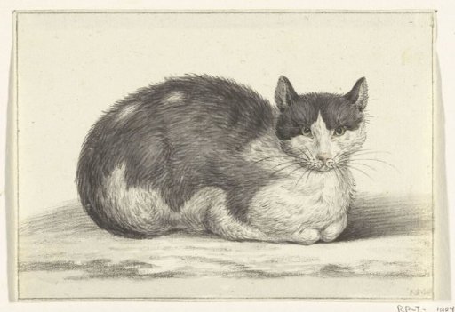 Lying cat, to the right