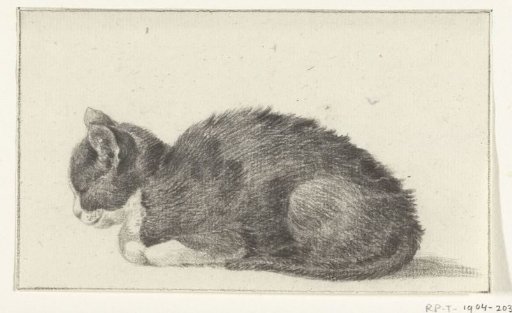 Lying cat, to the left