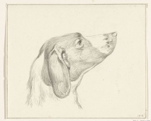 Head of a dog, facing right