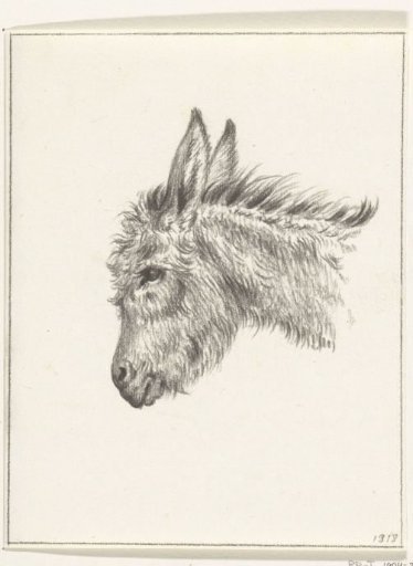 Head of a donkey, facing left