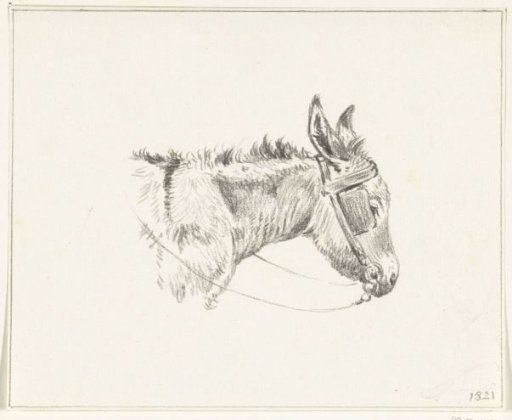 Head of a donkey, facing right