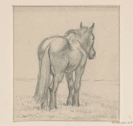 Standing horse, seen from the rear at an angle