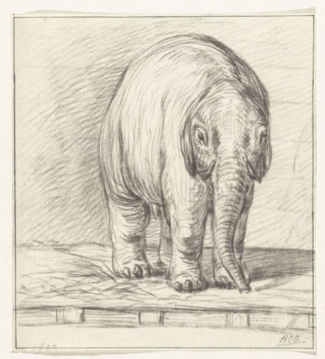Standing elephant